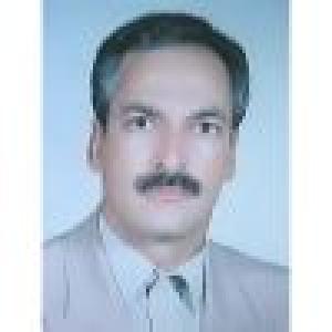 محمدرضا پیرهادی