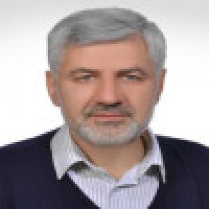 امیر کاووسی