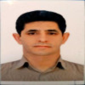 هاشم پهلوان شمسی