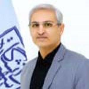 محمدرضا برومند دولق