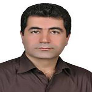 حبیب سلیمانی
