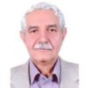 ناصر فروغی فر