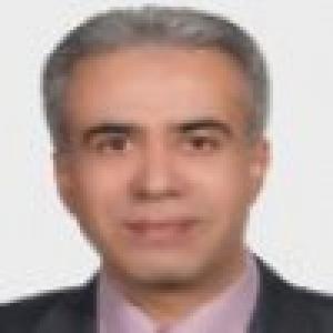 محمد بامنی مقدم