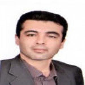 حمید میرمحمدی