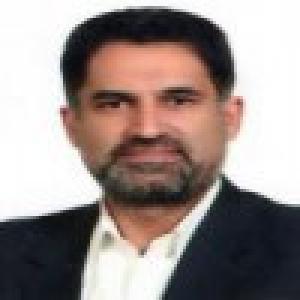 سیدمحسن صفوی