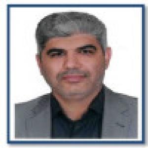 علی افضلی