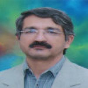 حمیدرضا میرحاجی