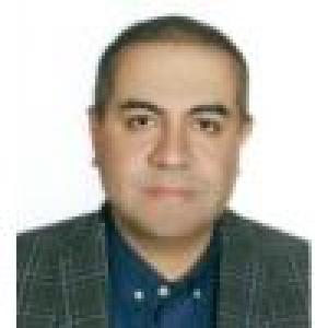 حامد مرادی