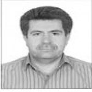 سید محمدحسن اسدالهی