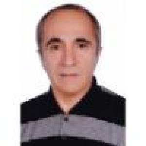 محمدرضا قیطانچی