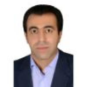 هادی ارونقی