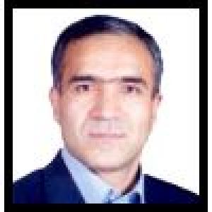 قاسم میرعمادی