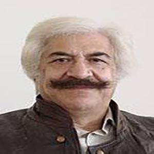 محمدمهدی سلطان زاده