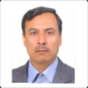 نیما احمدی