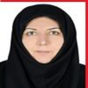 پریسا حسینی تهرانی