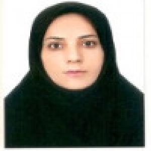 مینا سلیم