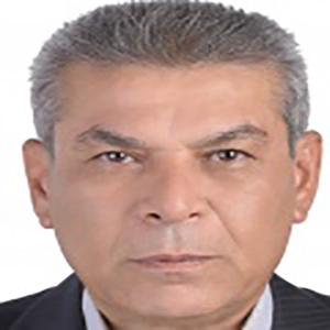 محمدمهدی فیروزآبادی