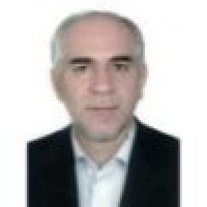 محسن فتحی