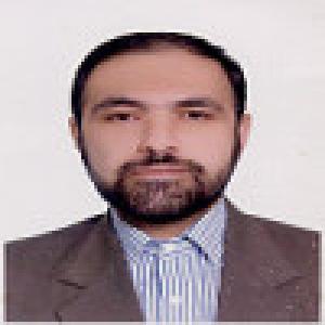محسن حبیبی