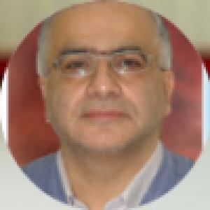 علی نحوی