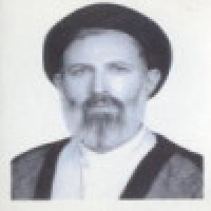 سید محمدعلی ایازی