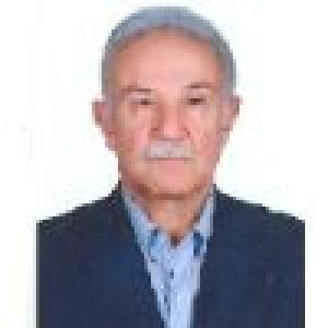 منوچهر قرشی