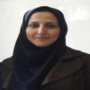 امین مینا دارابی