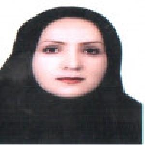 افسر فرود