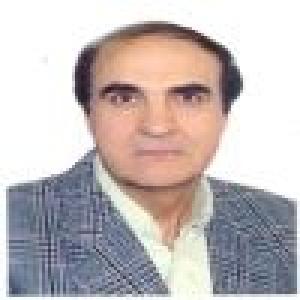 حجت‌اله ادیبی