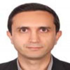 محمد سلطانی