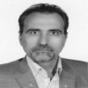 حسن زارع علی آبادی