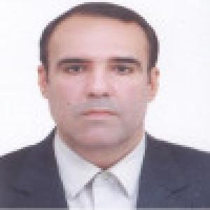 محمد رهنما