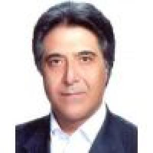 مرتضی کاشفی الاصل