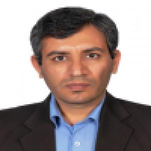 رضا بیرانوند