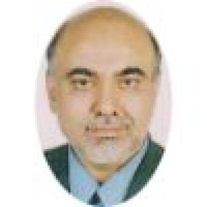 ابوالفضل محبی