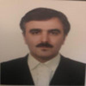 محمدرضا فرزین