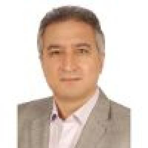 مجتبی مقصودی