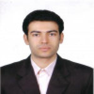 میرسعید موسوی رضوی