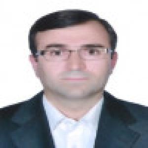 منصور فتحی