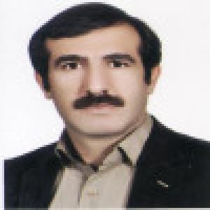 مرتضی امینی شرفی