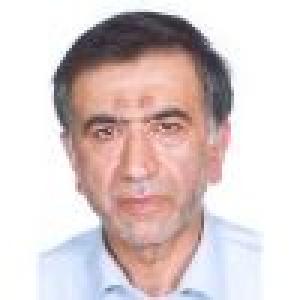 محمدتقی نبوی رضوی