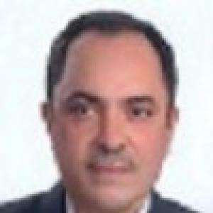 سیدحسام نجیبی