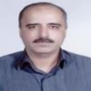 محمد ربیعی
