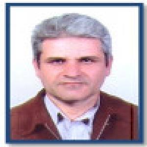 محمدرضا ترکی