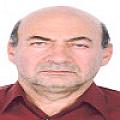 ناصر امام جمعه کاشانی