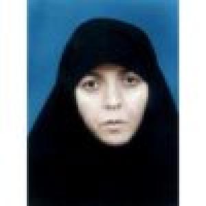 بهجت السادات حجازی