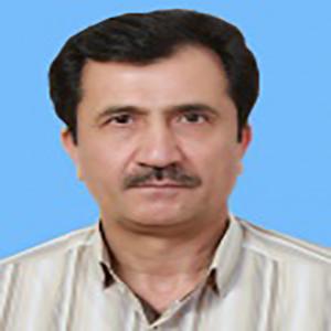 حسن حسن زاده