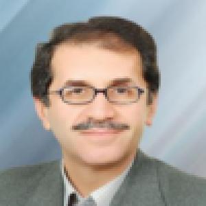 محمدرضا چمنی