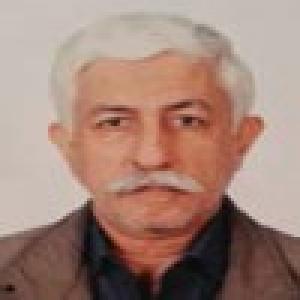 مهرداد قیومی بیدهندی
