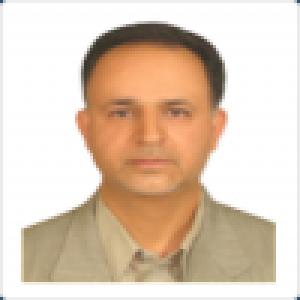 محمدرضا محمدی
